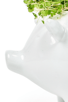 Pig Ceramic Indoor Plant Pot For Succulents - Chive US Wholesale