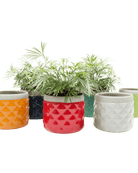 Pina Ceramic Succulent Planter Pot Kit - Chive US Wholesale