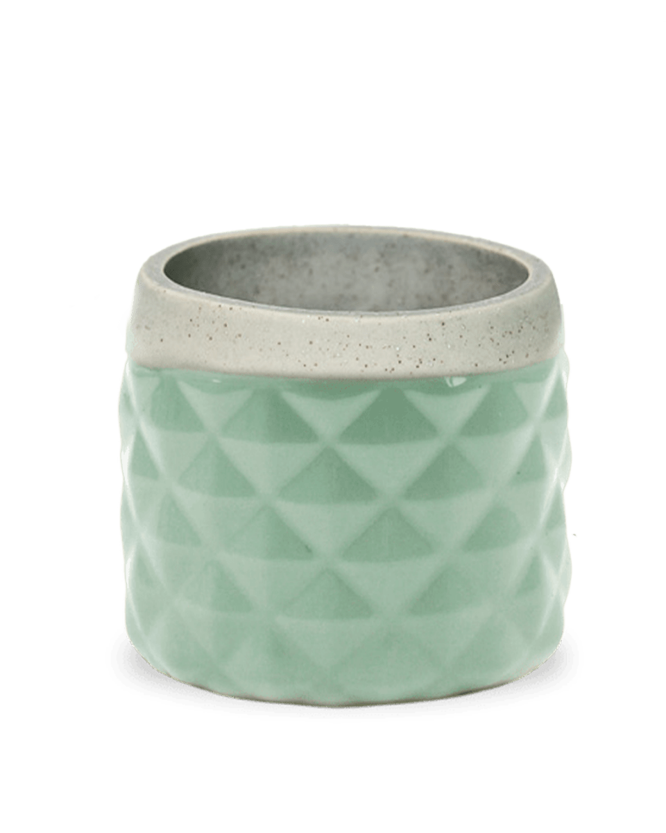 Pina Ceramic Succulent Planter Pot - Chive US Wholesale