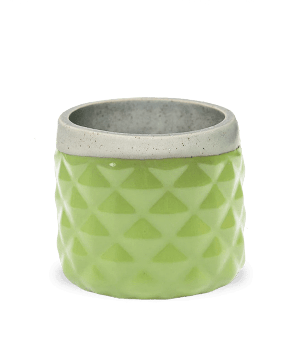 Pina Ceramic Succulent Planter Pot - Chive US Wholesale