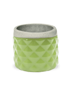 Pina Ceramic Succulent Planter Pot - Chive US Wholesale
