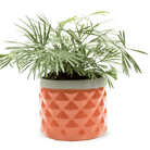 Pina Ceramic Succulent Planter Pot - Chive US Wholesale