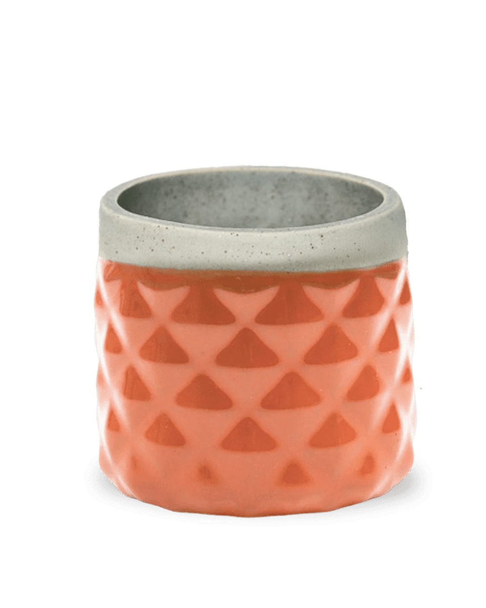 Pina Ceramic Succulent Planter Pot - Chive US Wholesale