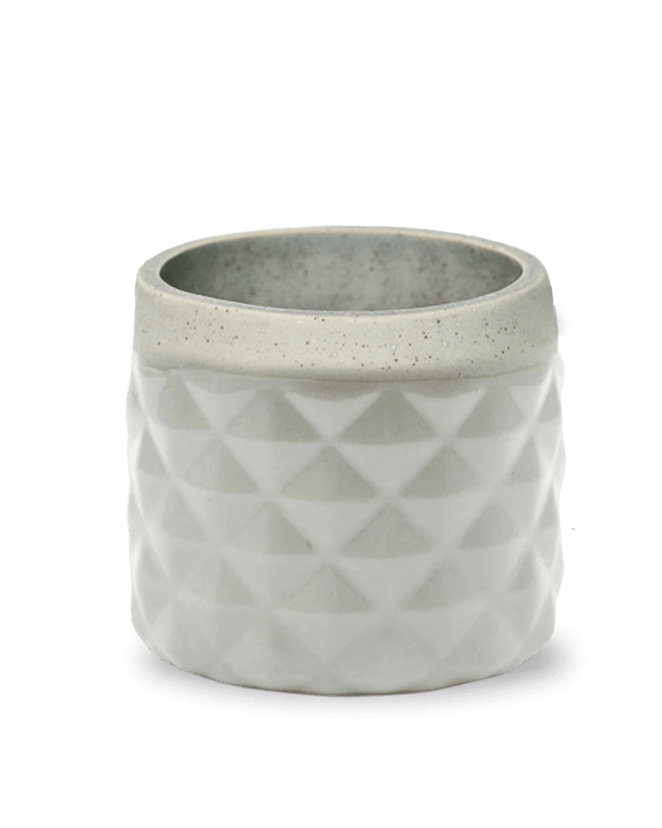 Pina Ceramic Succulent Planter Pot - Chive US Wholesale