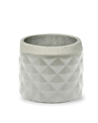 Pina Ceramic Succulent Planter Pot - Chive US Wholesale