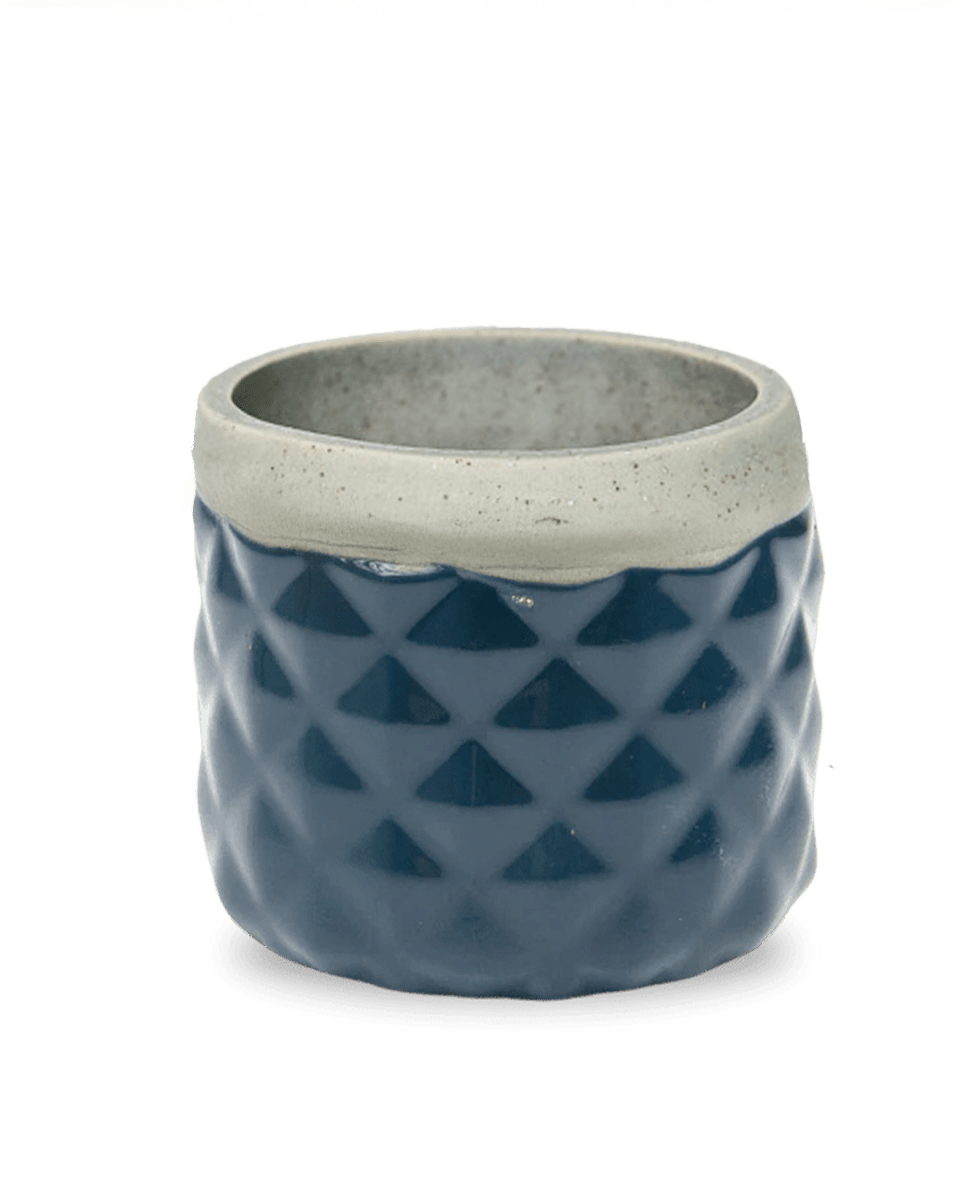 Pina Ceramic Succulent Planter Pot - Chive US Wholesale