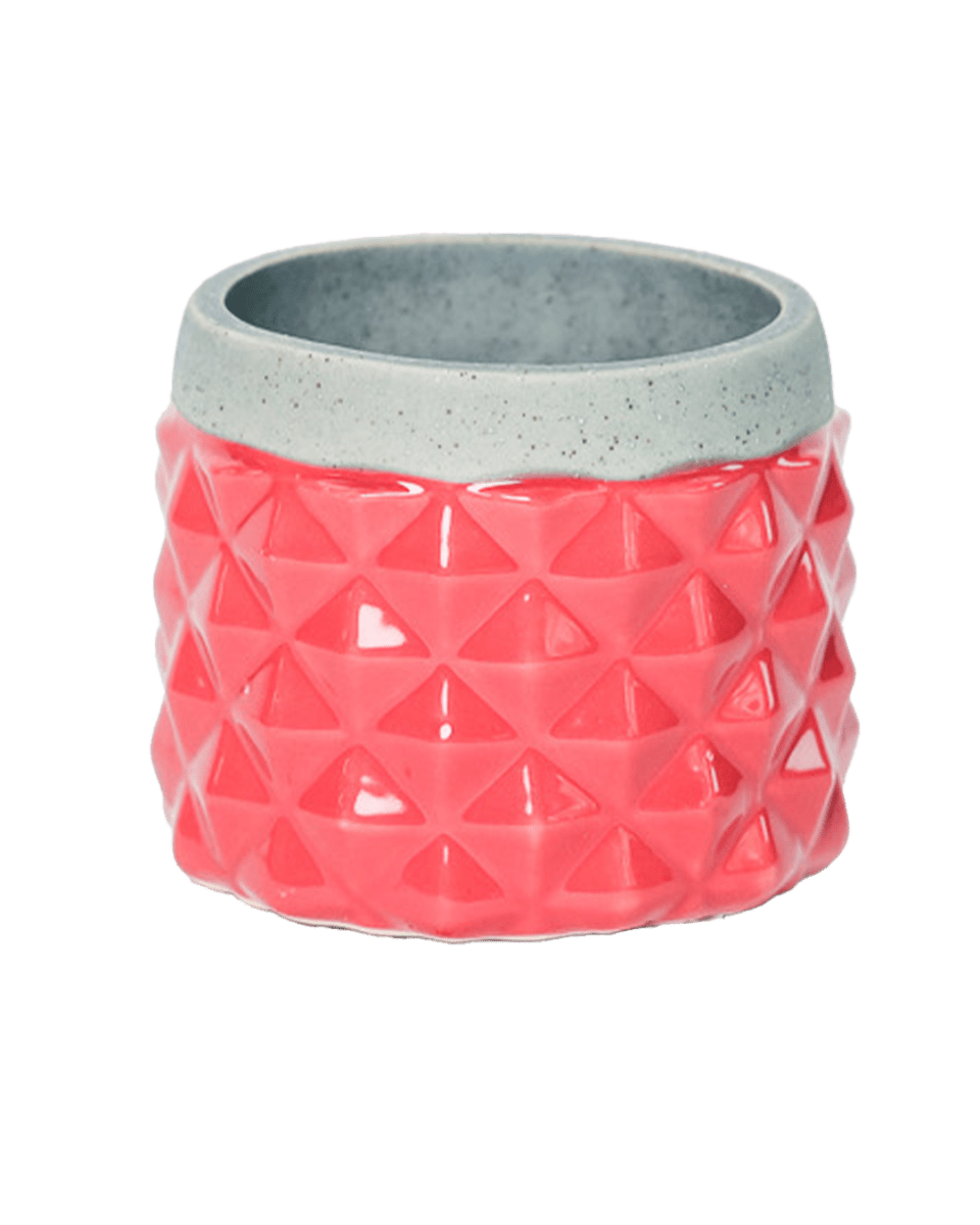 Pina Ceramic Succulent Planter Pot - Chive US Wholesale