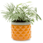 Pina Ceramic Succulent Planter Pot - Chive US Wholesale