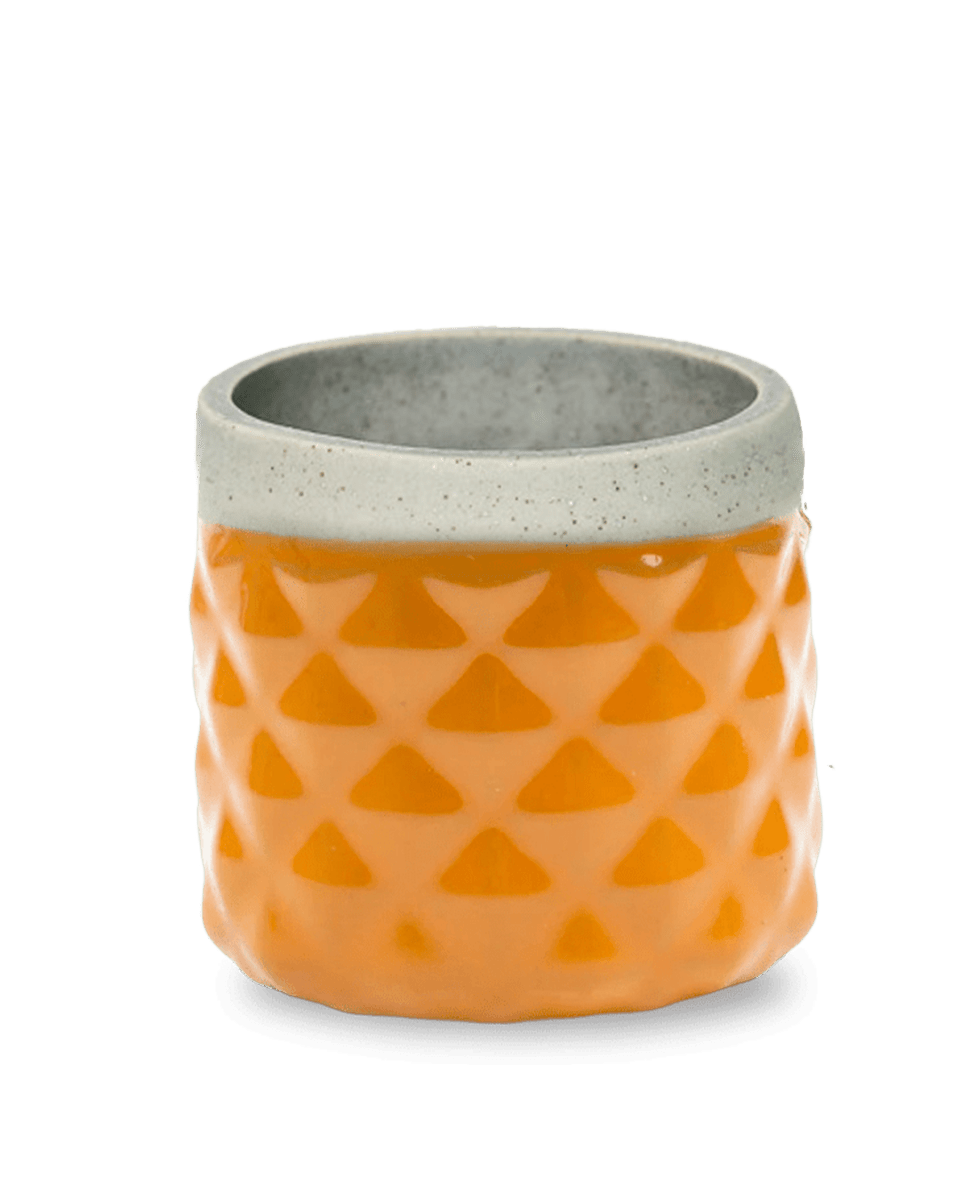 Pina Ceramic Succulent Planter Pot - Chive US Wholesale