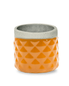 Pina Ceramic Succulent Planter Pot - Chive US Wholesale