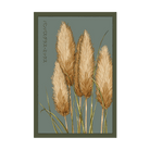 Pampas Grass Flower Seeds Packet - Chive US Wholesale