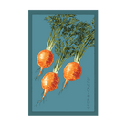 Parisian Carrot Vegetable Seeds Packet - Chive US Wholesale