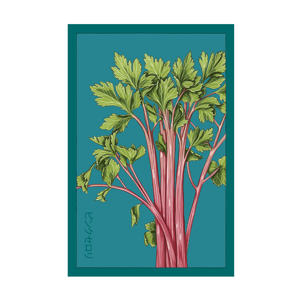 Pink Celery Vegetable Seeds Packet - Chive US Wholesale
