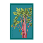 Pink Celery Vegetable Seeds Packet - Chive US Wholesale