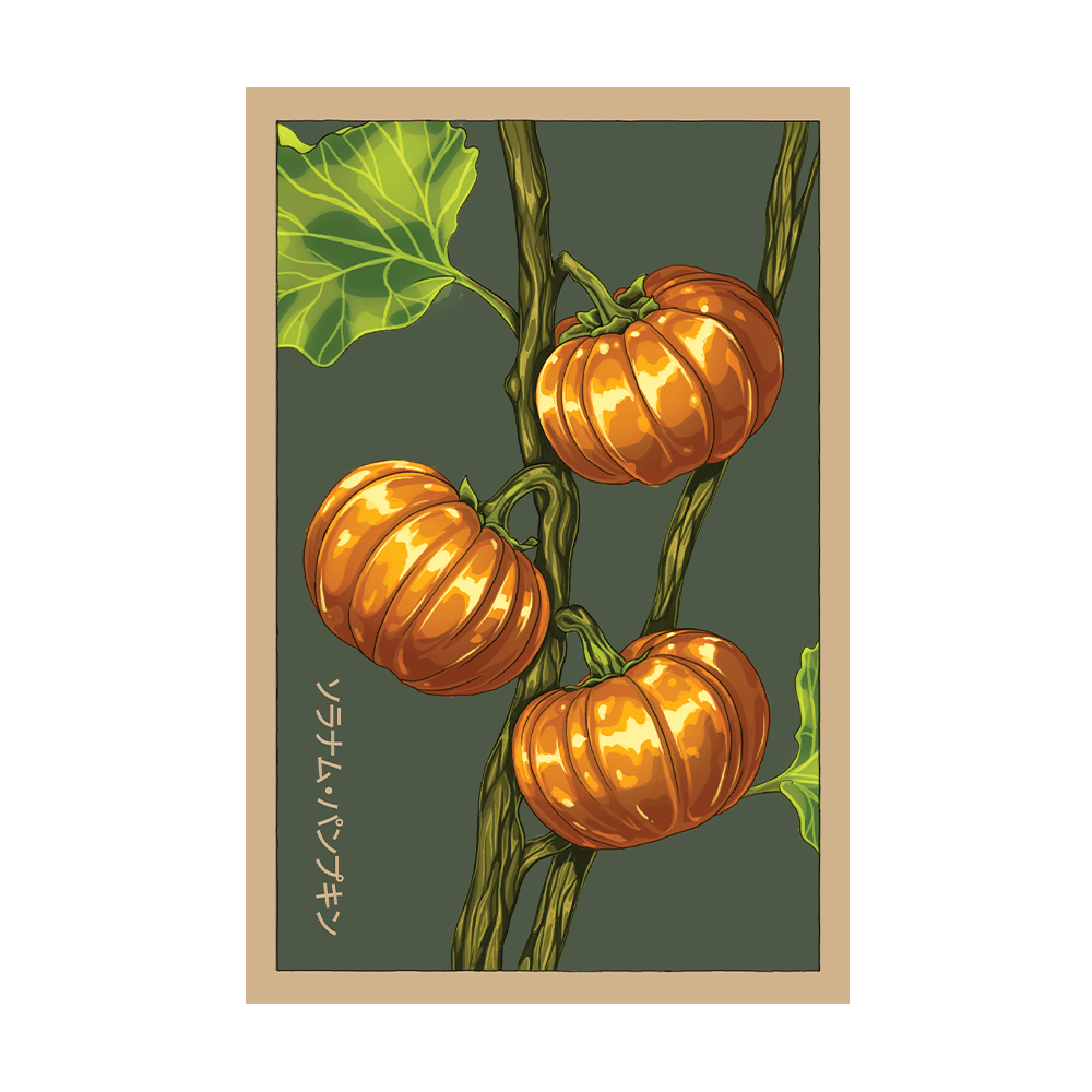 Pumpkin on a Stick Flower Seeds Packet - Chive US Wholesale