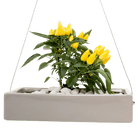 Ragna Ceramic Hanging Planter Kit - Chive US Wholesale