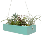 Ragna Ceramic Hanging Planter Kit - Chive US Wholesale