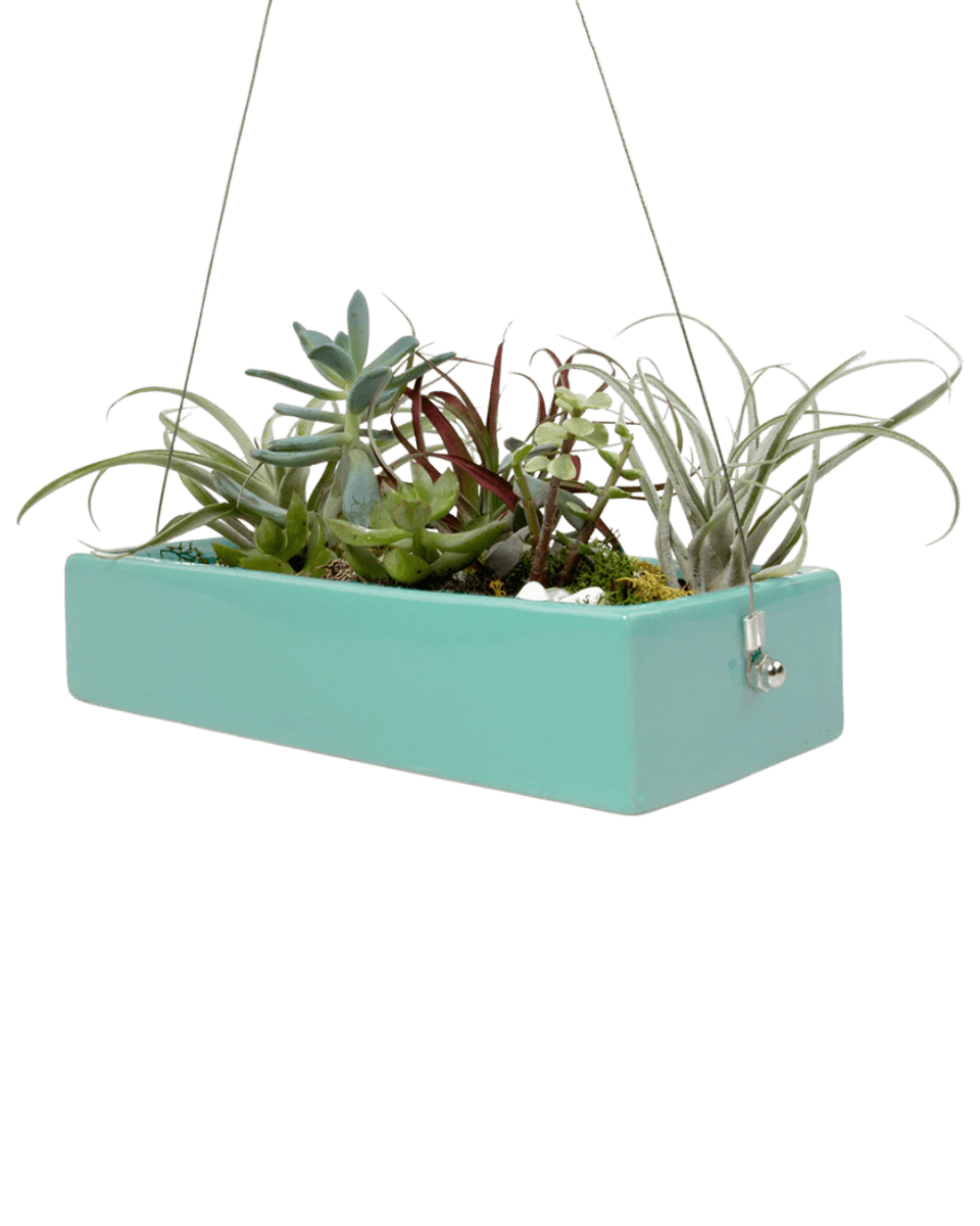 Ragna Ceramic Hanging Planter Kit - Chive US Wholesale