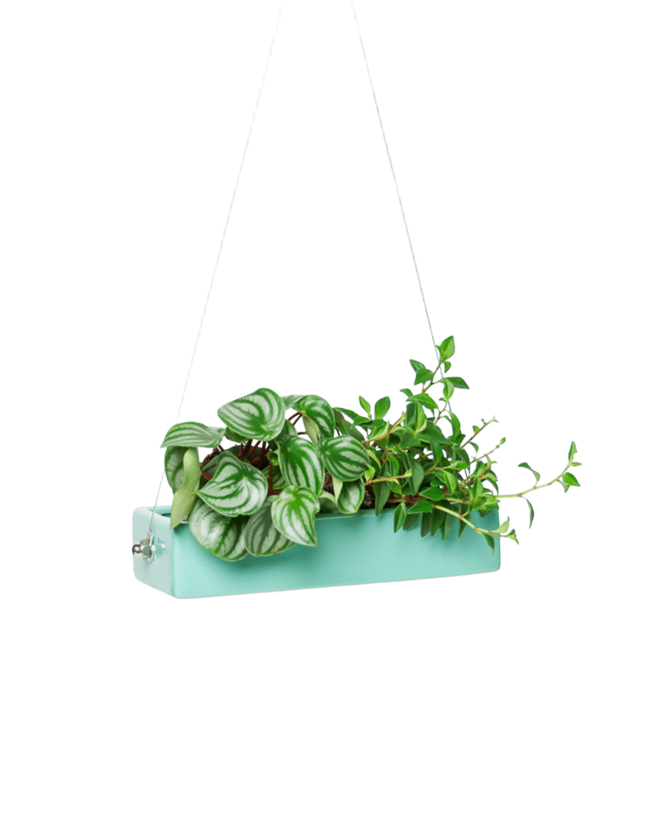 Ragna Ceramic Hanging Planter Kit - Chive US Wholesale