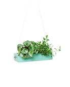 Ragna Ceramic Hanging Planter Kit - Chive US Wholesale