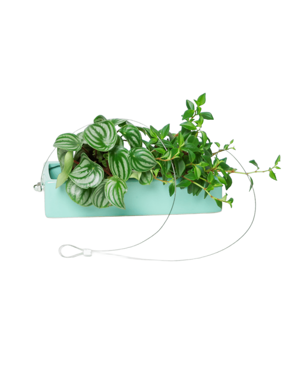 Ragna Ceramic Hanging Planter Kit - Chive US Wholesale