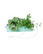 Ragna Ceramic Hanging Planter Kit - Chive US Wholesale