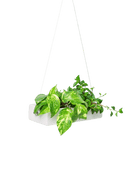 Ragna Ceramic Hanging Planter - Chive US Wholesale