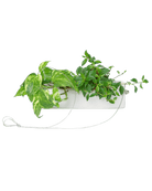 Ragna Ceramic Hanging Planter Kit - Chive US Wholesale