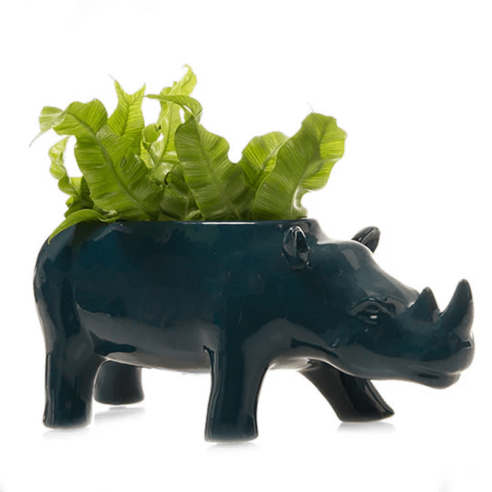 Rhino Ceramic Indoor Plant Pot For Succulents - Chive US Wholesale