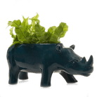 Rhino Ceramic Indoor Plant Pot For Succulents - Chive US Wholesale