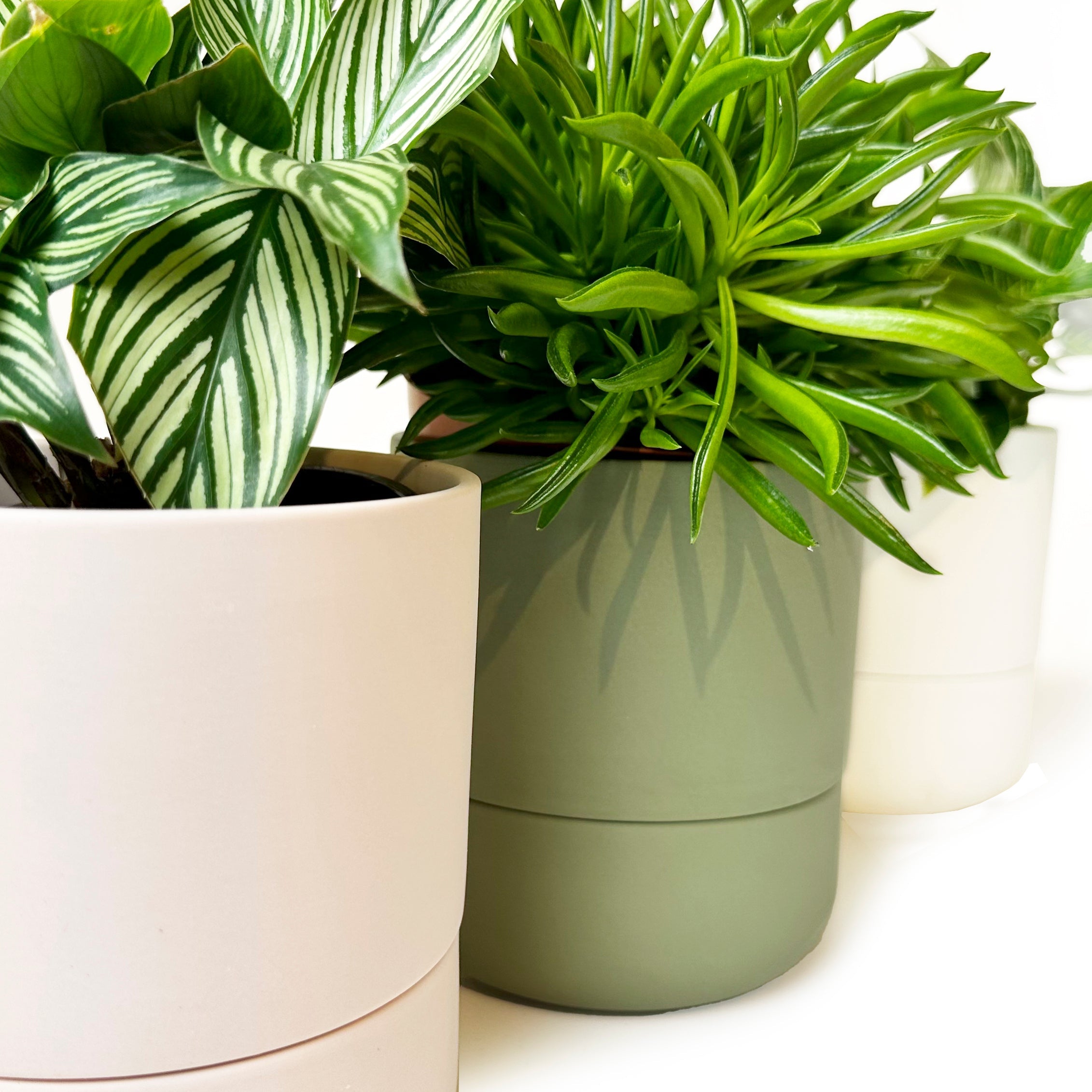 Wholesale Plastic Flower Pots At Cheap Price - Brice Gardening