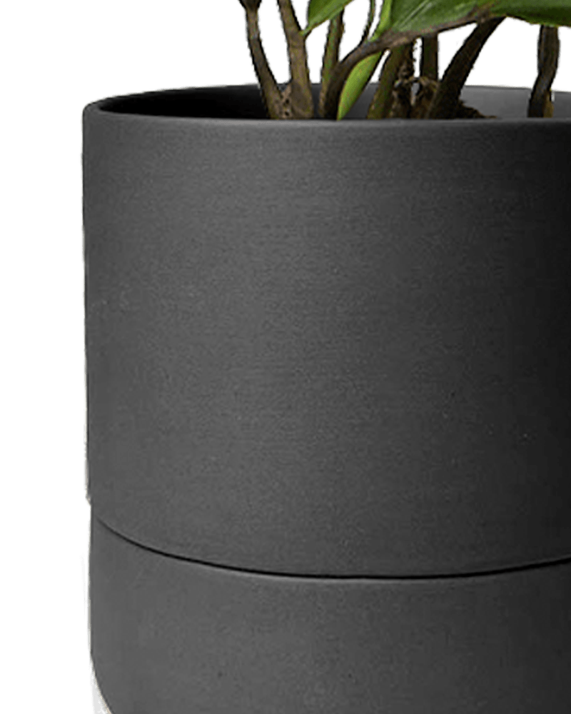 Ryan Self - Watering Plant Pots - Chive US Wholesale