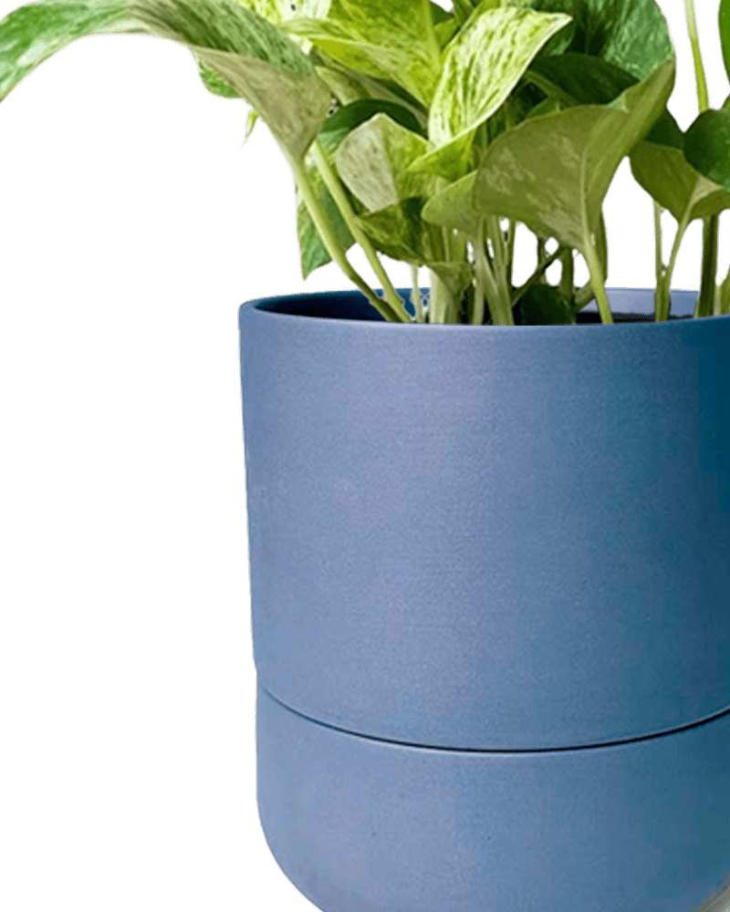 Ryan Self - Watering Plant Pots - Chive US Wholesale