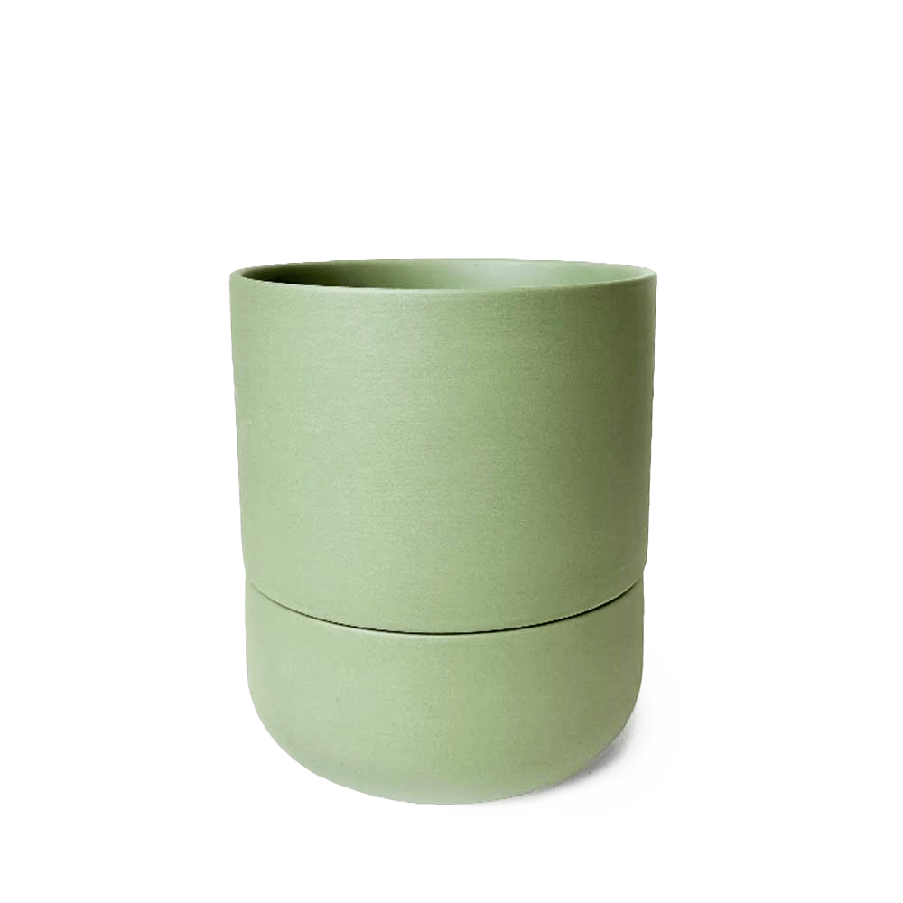 Ryan Self - Watering Plant Pots - Chive US Wholesale