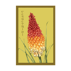Red Hot Poker Flower Seeds Packet - Chive US Wholesale
