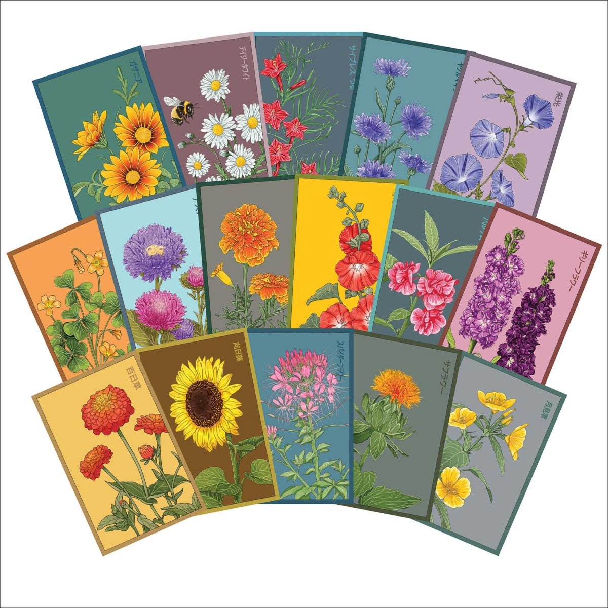 Flower Seeds Packets - 96pc Assortment 1 - Chive US Wholesale