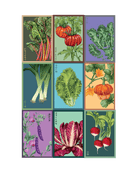 Vegetable Seeds Packets - 96pc Assortment 1 - Chive US Wholesale