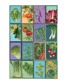 Vegetable Seeds Packets - 96pc Assortment 1 - Chive US Wholesale