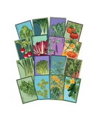 Vegetable Seeds Packets - 96pc Assortment 1 - Chive US Wholesale