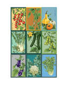 Vegetable Seeds Packets - 96pc Assortment 2 - Chive US Wholesale