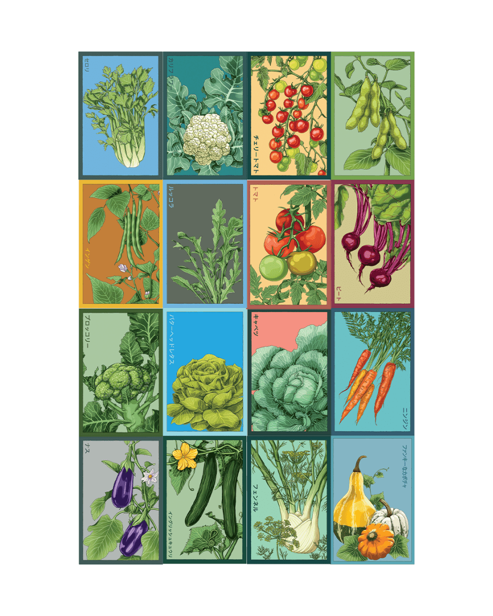 Vegetable Seeds Packets - 96pc Assortment 2 - Chive US Wholesale