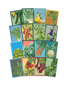 Vegetable Seeds Packets - 96pc Assortment 2 - Chive US Wholesale
