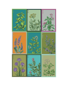 Herb Seeds Packets - 96pc Assortment 1 - Chive US Wholesale