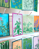 Herb Seeds Packets - 96pc Assortment 1 - Chive US Wholesale