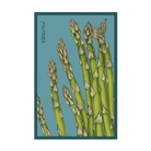 2026 Asparagus Mary Washington Vegetable Seeds Packet - Chive US Wholesale