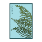 2026 Asparagus Fern Indoor Seeds Packet - Chive US Wholesale