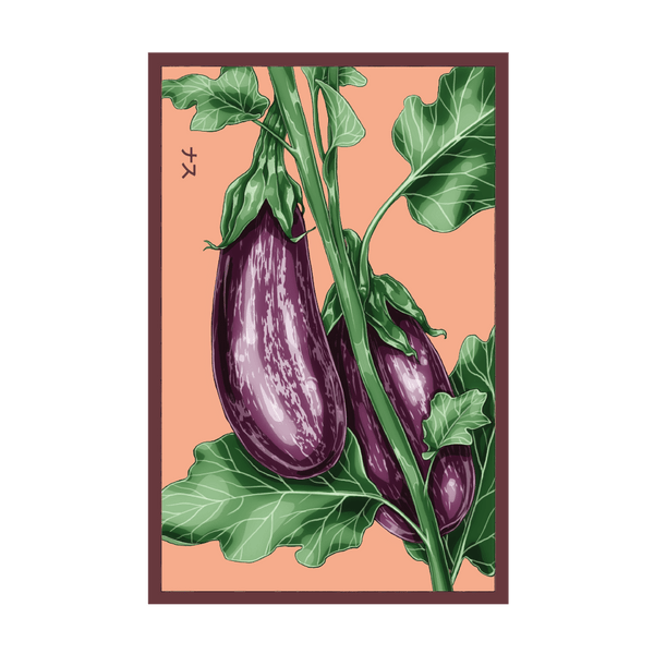 2026 Aubergine Jewel Marble F1 Vegetable Seeds Packet – Chive US