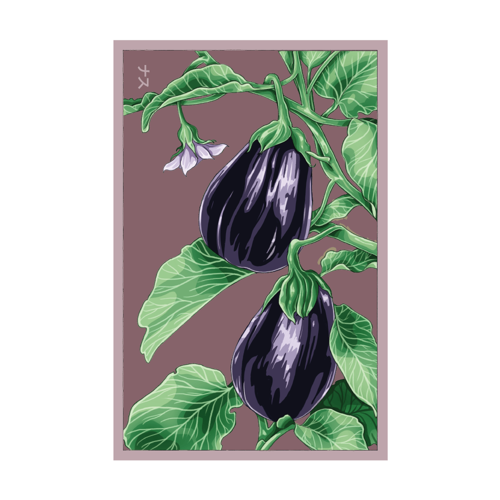 2026 Black Beauty Eggplant Vegetable Seeds Packet - Chive US Wholesale