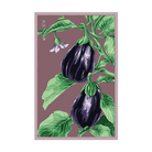 2026 Black Beauty Eggplant Vegetable Seeds Packet - Chive US Wholesale