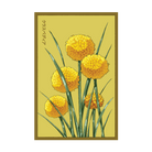 2026 Billy Buttons Flower Seeds Packet - Chive US Wholesale
